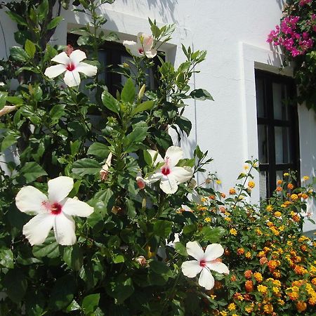Mimosa Apart Hotel Gumbet Exterior photo