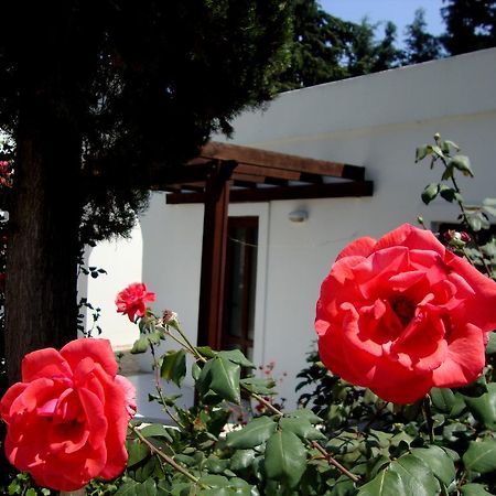 Mimosa Apart Hotel Gumbet Exterior photo