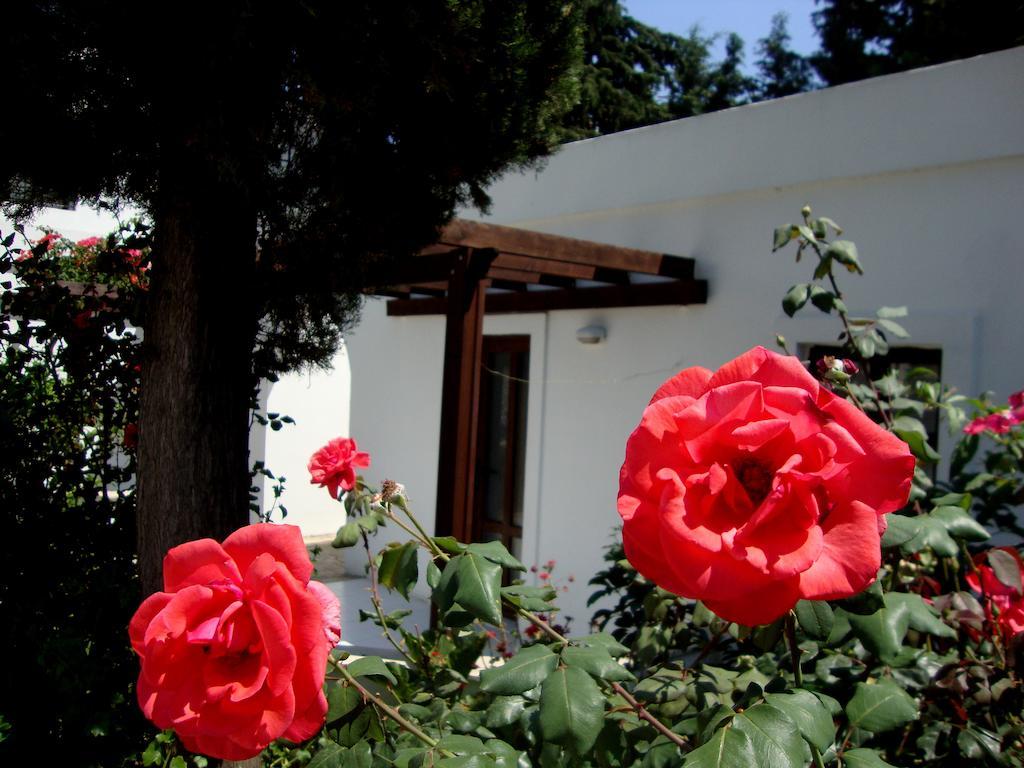 Mimosa Apart Hotel Gumbet Exterior photo